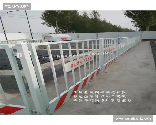 格斗场馆安全标准出台 强制要求护栏防护等级以确保参赛者安全 格斗场馆安全标准出台 强制要求护栏防护等级以确保参赛者安全